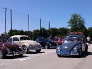 Beetle Show Rioz (82)